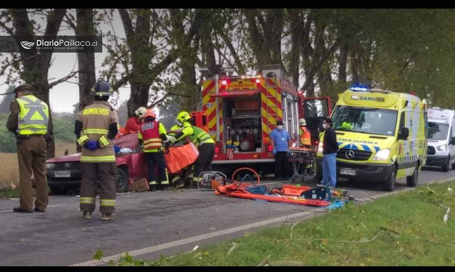 Una persona falleció tras caída de árbol sobre automóvil en ruta Paillaco-Futrono