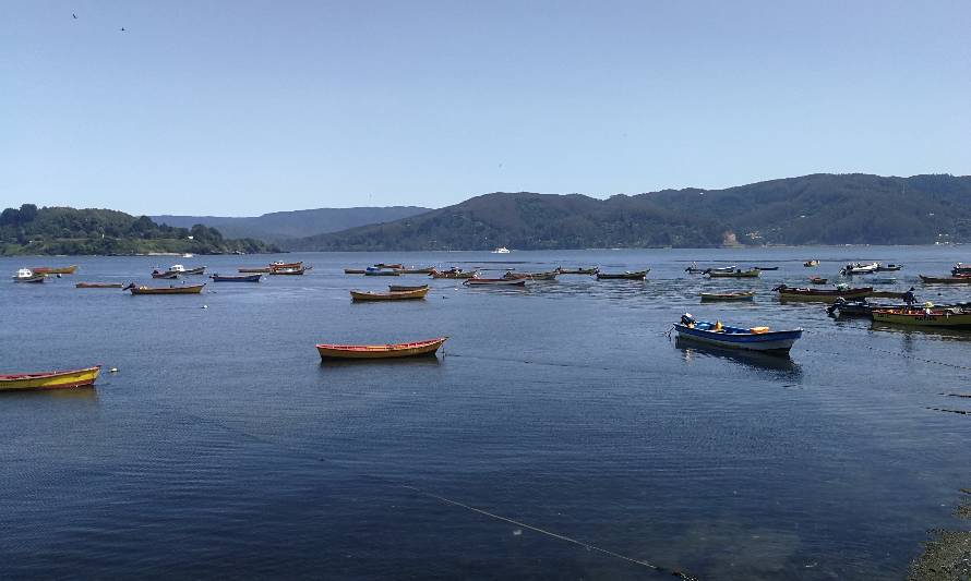 Berger aseguró que modificación a la ley de pesca “aliviará la carga” a pescadores artesanales por efectos de la pandemia