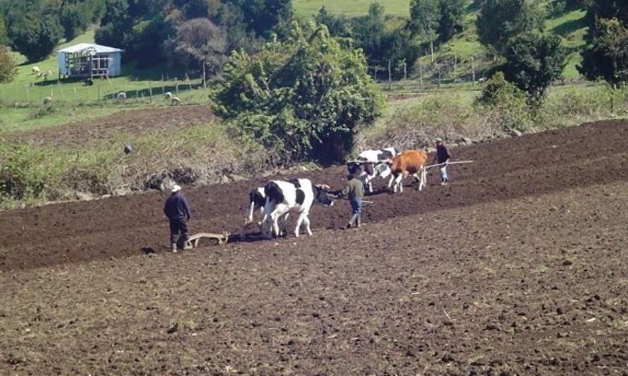 Disponen medidas especiales para habitantes de zonas rurales en Cuarentena y Transición