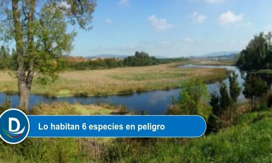 Un paso más para declararlo Santuario: Conforman Corporación Humedales de Angachilla