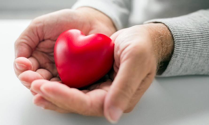 Derecho USS destaca ampliación de donación de órganos entre personas vivas