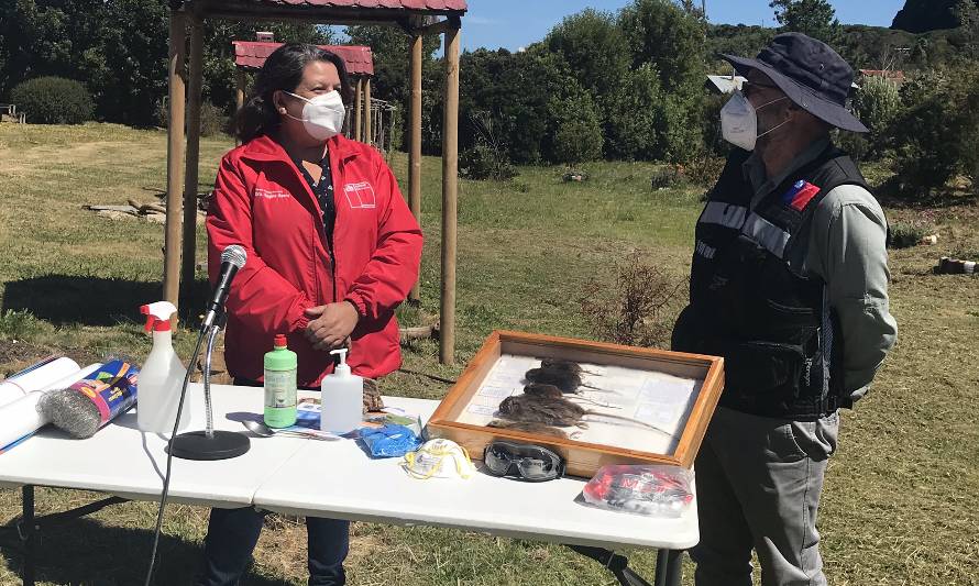 Llaman a reforzar medidas de prevención contra el hantavirus 