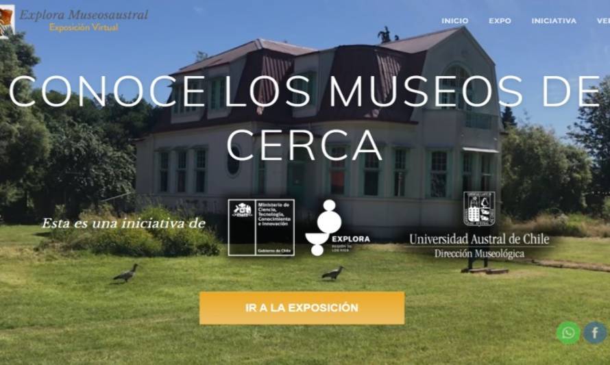 En su aniversario: Invitan a conocer desde casa los museos de Valdivia