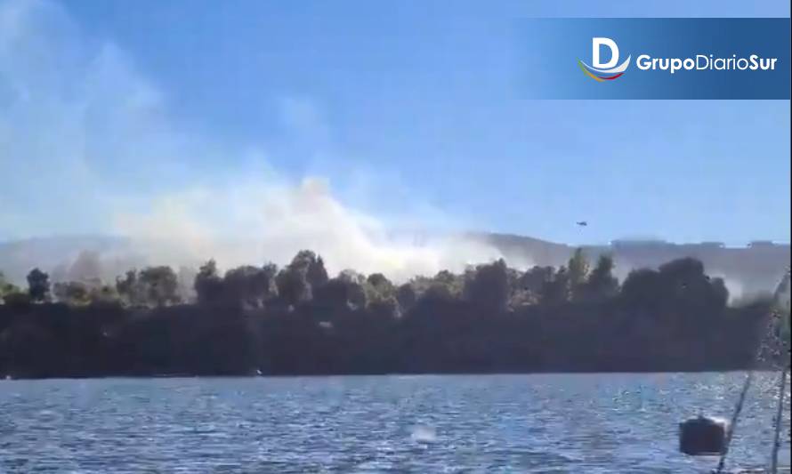 Incendio forestal afecta a la Isla del Rey en Corral