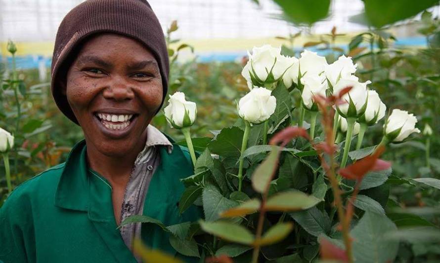 Comercio Justo, sello que cambia vidas