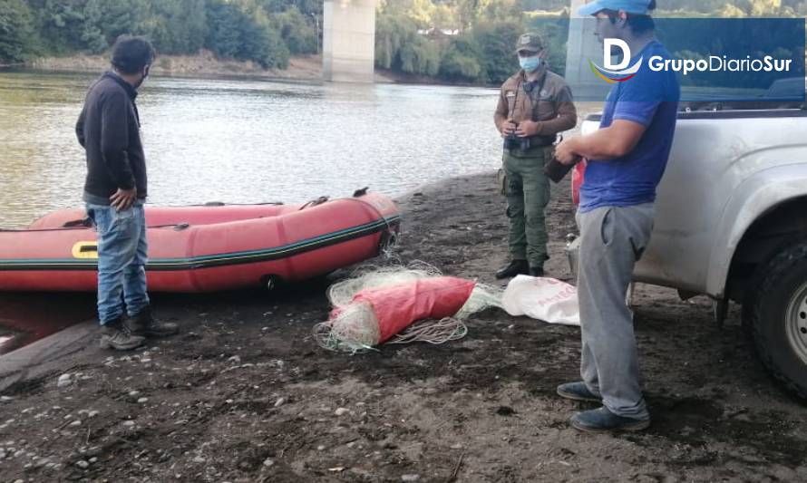 Funcionarios de Sernapesca y carabineros realizaron la incautación en el río Bueno. (Foto gentileza de Sernapesca Los Ríos).