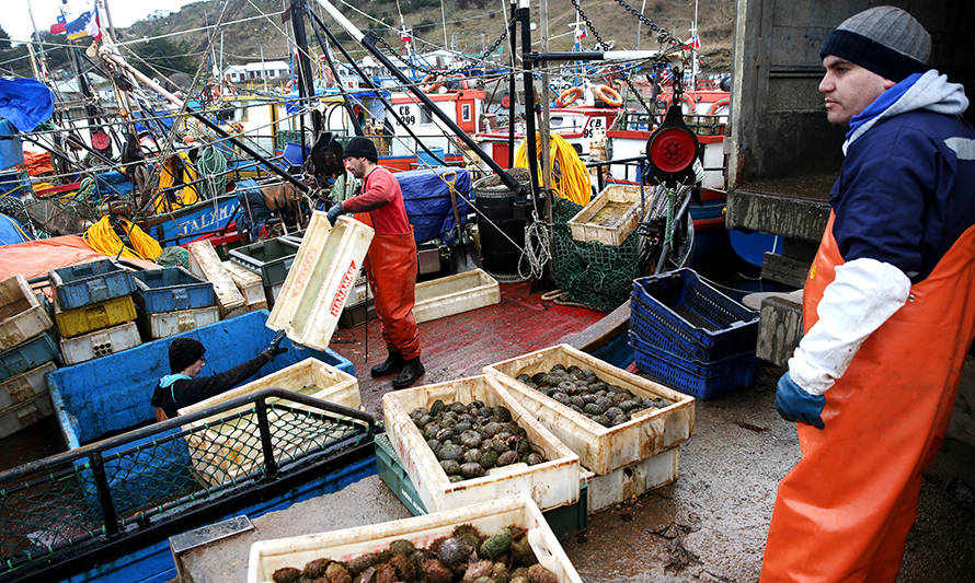 Programas de Indespa destinarán más $10 mil millones a pescadores artesanales y pequeños acuicultores este 2021