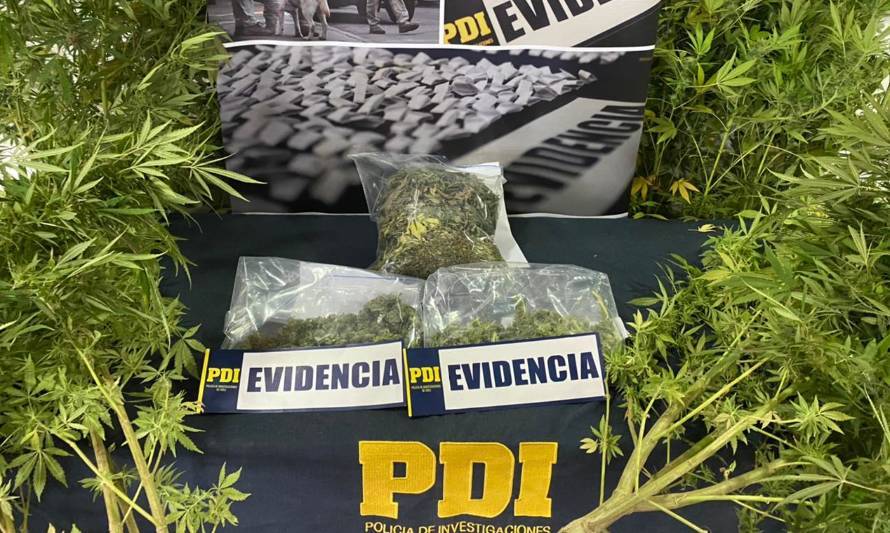 La Unión: Joven de 23 años fue detenido por microtráfico de marihuana 