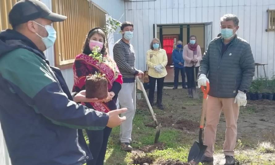 Realizan jornada de plantación de árboles nativos