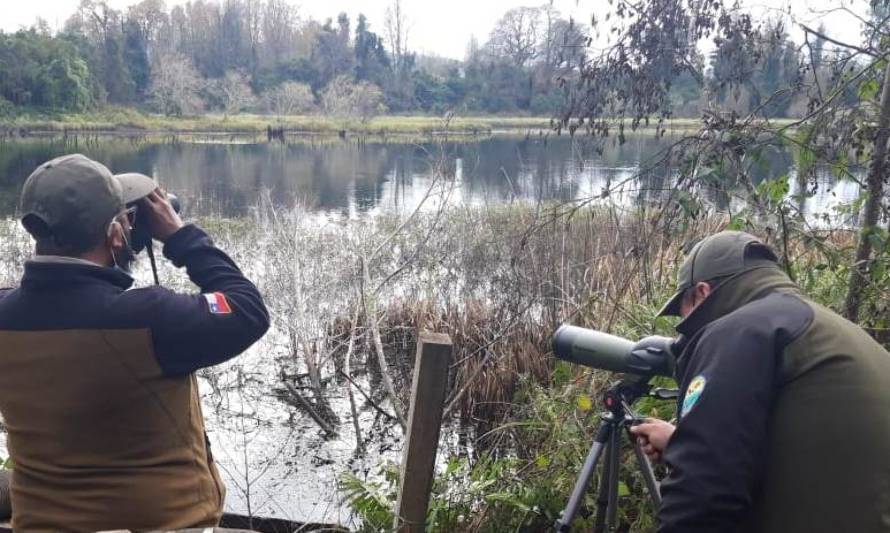 Guardaparques realizan labores de conservación en Santuario de la Naturaleza