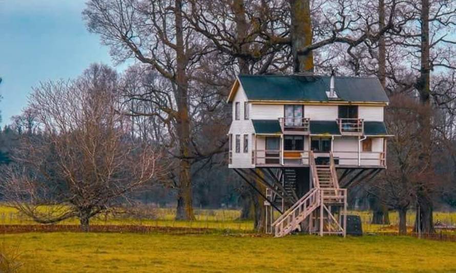 Futronina cuenta la verdadera historia detrás de su casa en el árbol