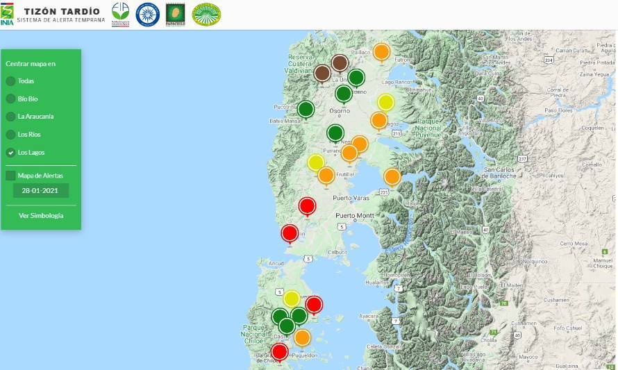 Sistema INIA para el control de tizón tardío logró disminuir en más de un 25 % la aplicación de pesticidas en cultivos de papa