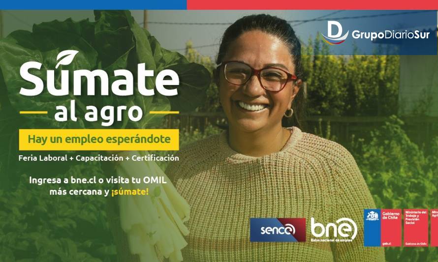 Conoce cómo postular a uno de los 5 mil empleos que ofrece programa "Súmate al Agro"