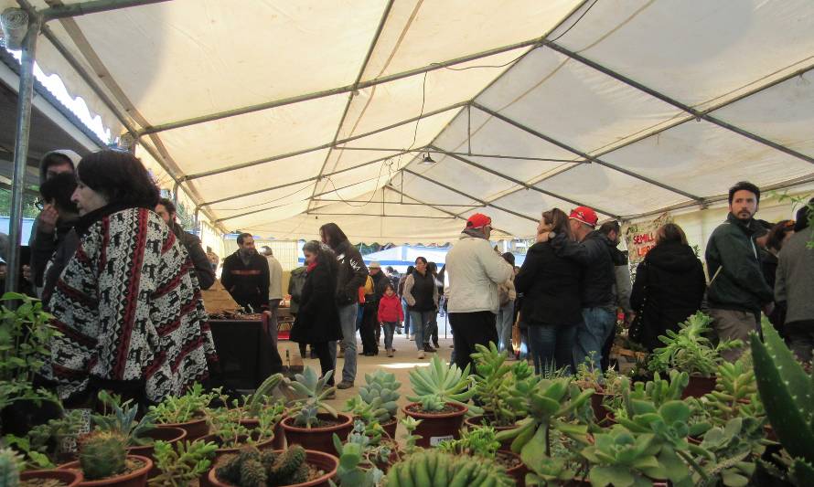 Festival de las plantas realiza su segunda versión 