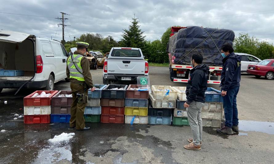 Incautan más de una tonelada de pescados sin acreditación en Ruta 5 Sur