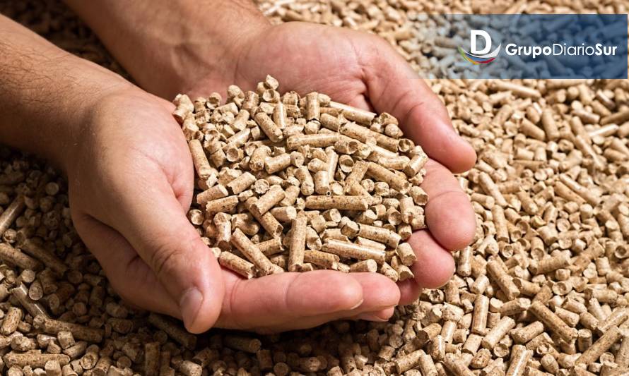 Mercado del pellet se consolida en Valdivia pese a falta de regulación 
