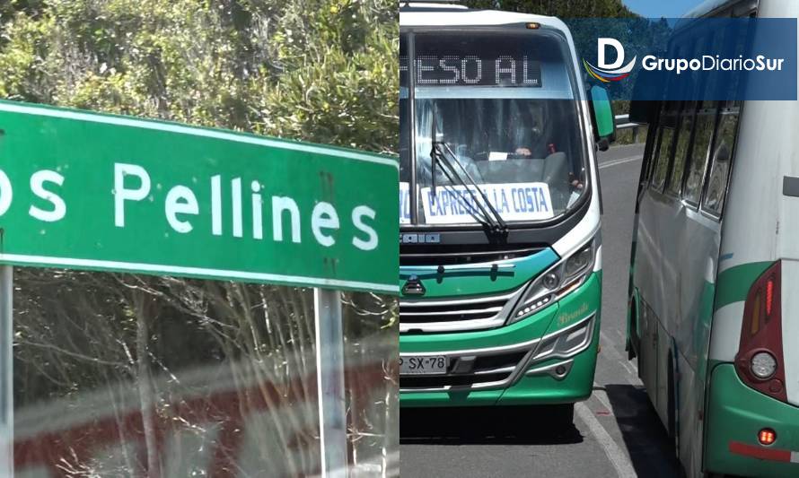 Buses hacia Curiñanco suspenden recorridos en protesta por riesgos en la ruta
