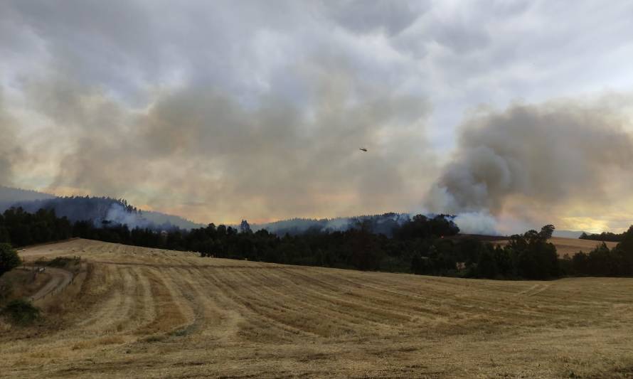 Bomberos continúan combatiendo el fuego en sector El Casino de Paillaco