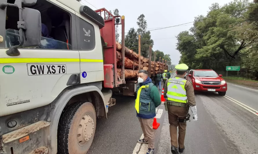 Autoridades realizan fiscalización al transporte forestal en Valdivia