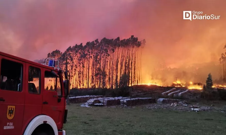 Declaran Alerta Roja por incendio forestal en Paillaco