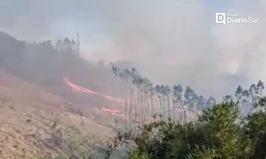Conaf entrega balance de incendio forestal en San José de la Mariquina