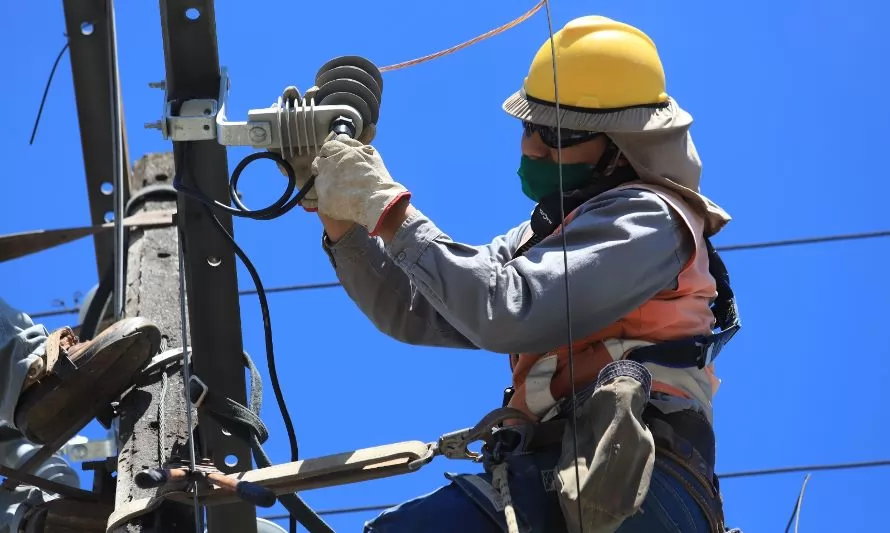 Realizarán obras para fortalecer red eléctrica en sectores de Valdivia y Futrono