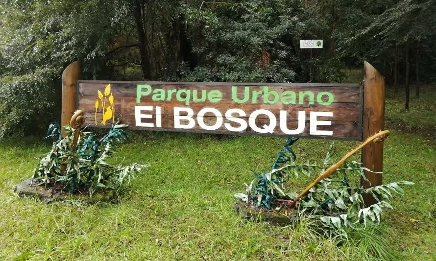 Belleza autóctona: conoce el Parque Urbano El Bosque en Valdivia