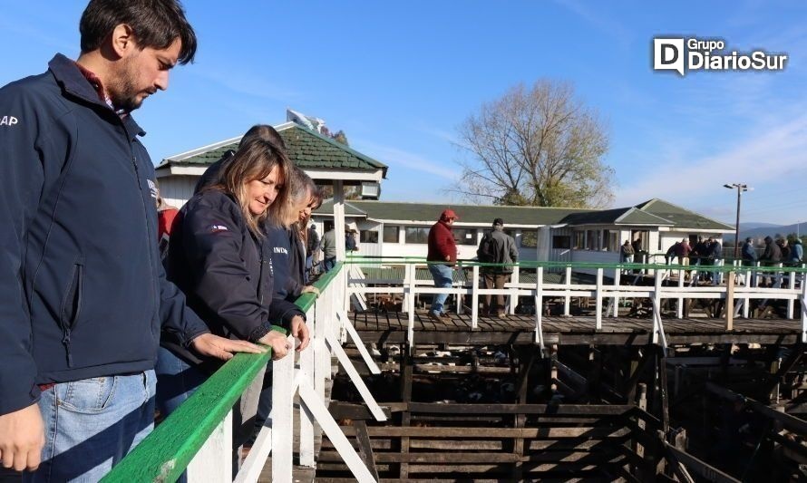 Dan el vamos a la primera feria ganadera para la agricultura familiar campesina en Paillaco