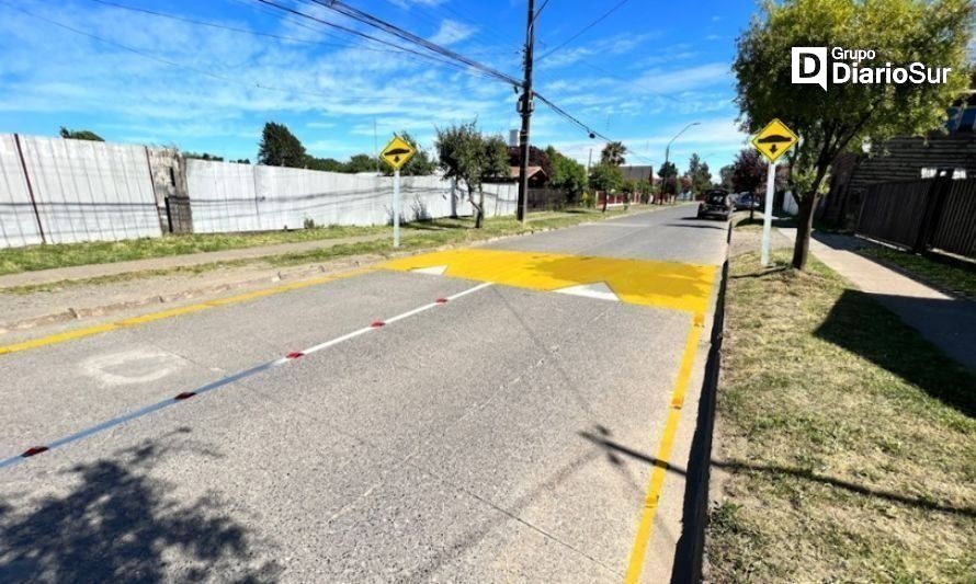 Reductor de velocidad. Créditos: Municipalidad de La Unión.