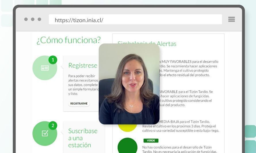 Esta plataforma permite ahorrar recursos y realizar un manejo integrado más sustentable de esta enfermedad, especialmente en la agricultura familiar campesina. Créditos: INIA.