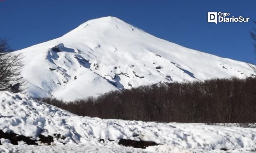 Informó el Observatorio Volcanológico de Los Andes del Sur (Ovdas). Créditos: Felipe Flores (Sernageomín).