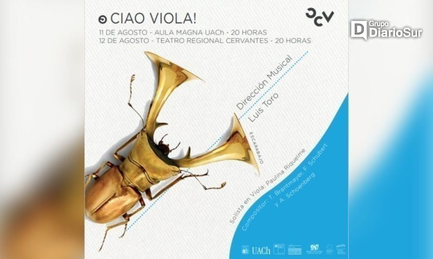 Orquesta de Cámara de Valdivia presentará concierto "Ciao Viola!"