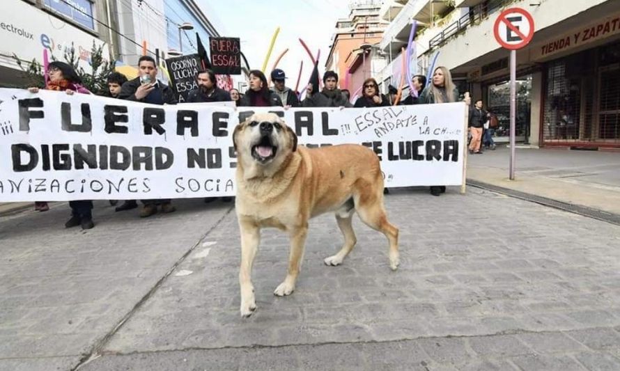 Luis Apolo, símbolo de Osorno, dejó su querida ciudad y se esperan homenajes para él. Crédito: redes sociales.