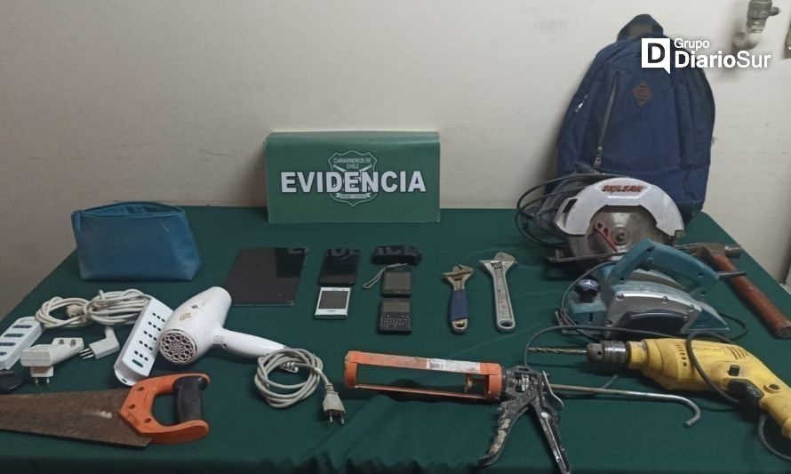 Especies fueron valoradas en un millón de pesos. Créditos: Carabineros Los Ríos.