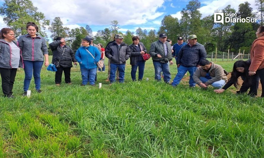 Adecuado manejo incrementa productividad forrajera bajo estrés calórico y sequía en Los Ríos