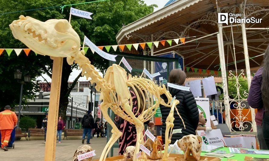 Habrá más de 20 stands. Créditos: Feria Una Salud