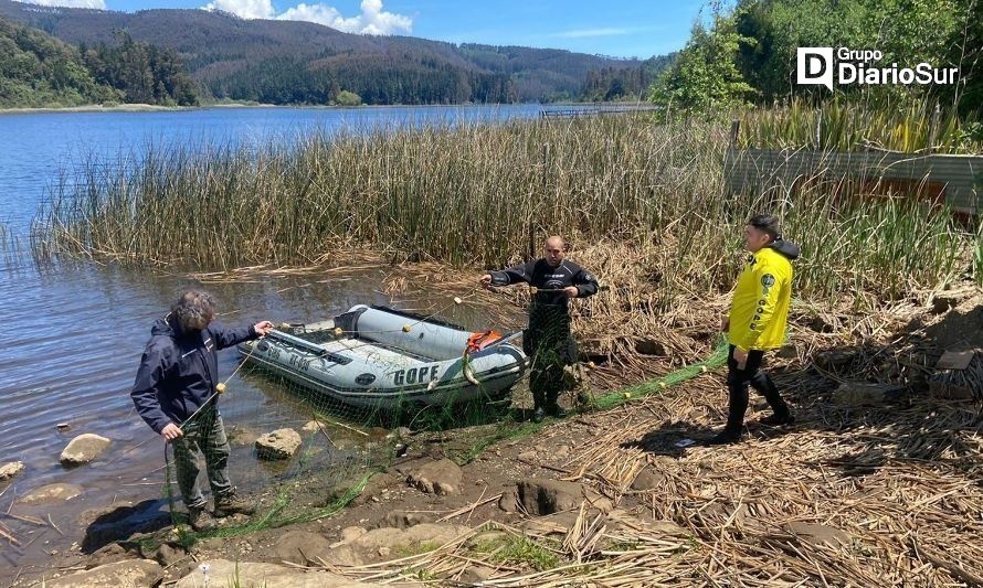 Fiscalización se efectuó tras una denuncia. Créditos: Sernapesca Los Ríos.