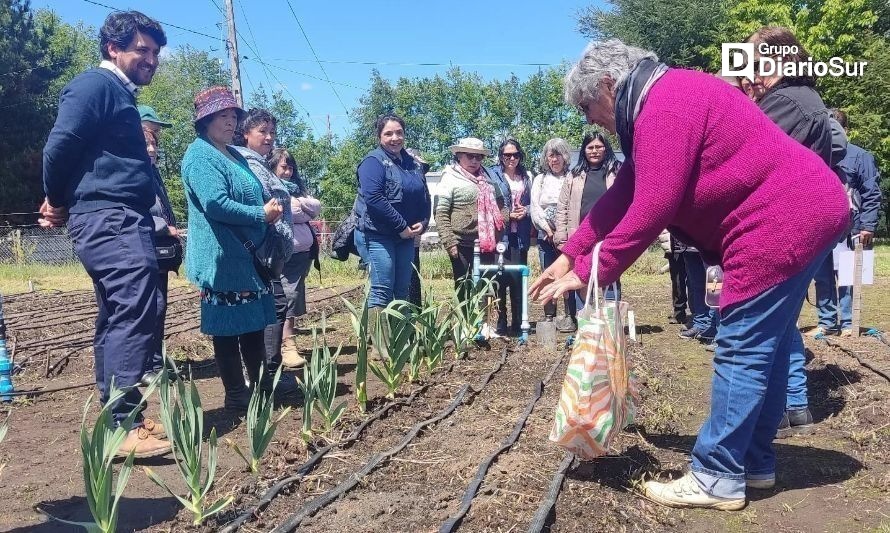 Este viernes en un día de campo en Malalhue, comuna de Lanco. Créditos: Seremi de Agricultura Los Ríos.