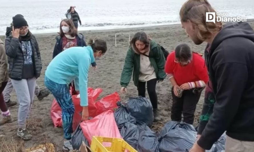 Periódicamente los voluntarios limpian las playas de la costa valdiviana. Crédito: Lakfen Lif.