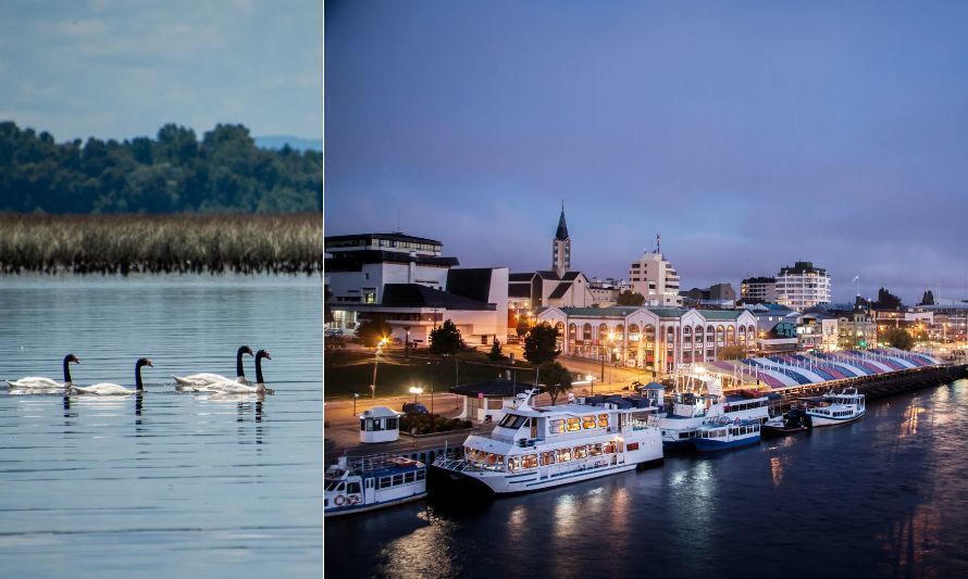 Celebran cifras que ubican a Valdivia como destino de alto interés en Chile