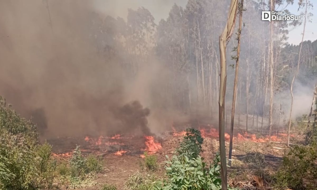 Dos incendios forestales simultáneos complica despliegue en Osorno
