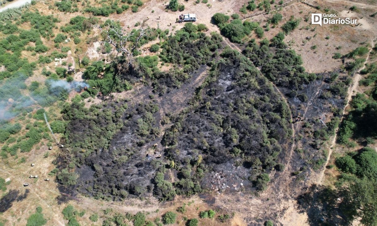 Conaf y Bomberos de Valdivia combaten incendio en sector Paillao 