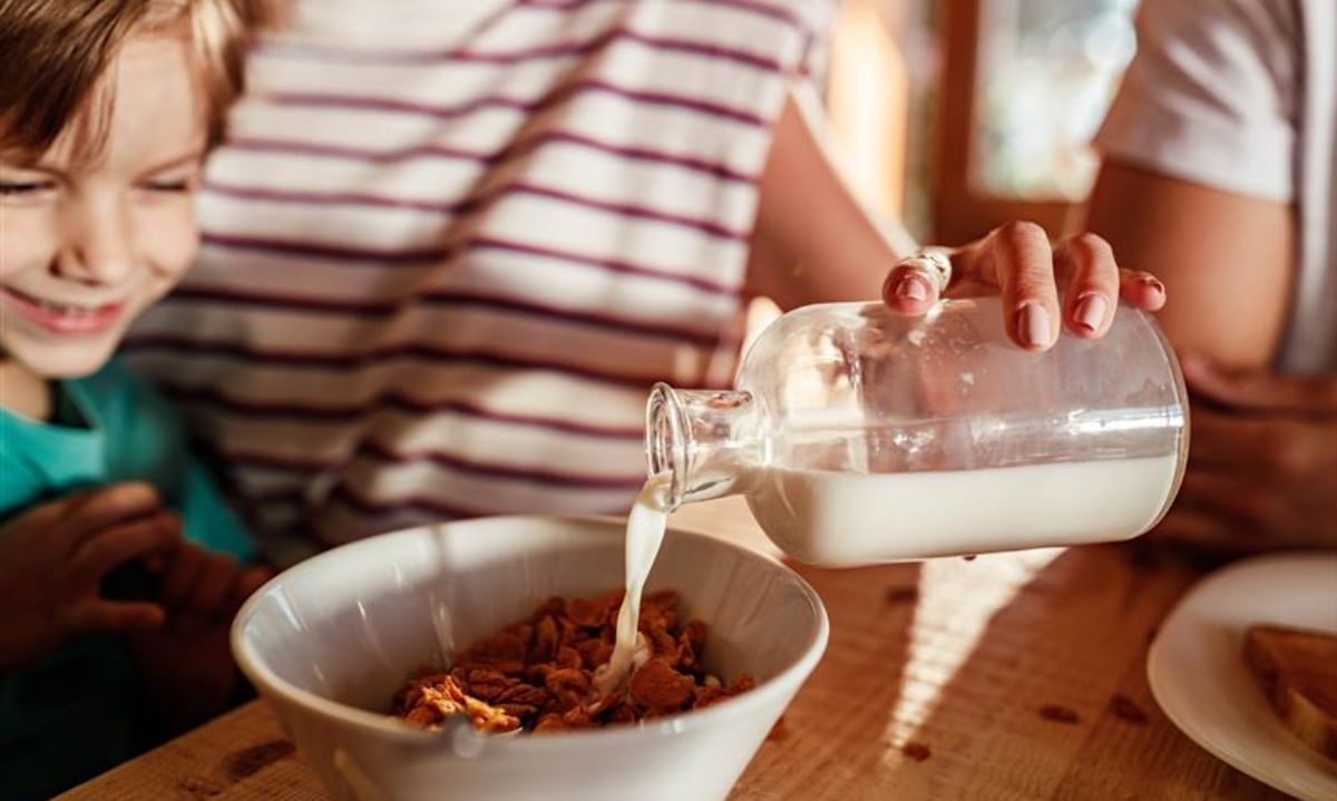 Regreso a clases: Desafíos y consejos para retomar las colaciones saludables en marzo