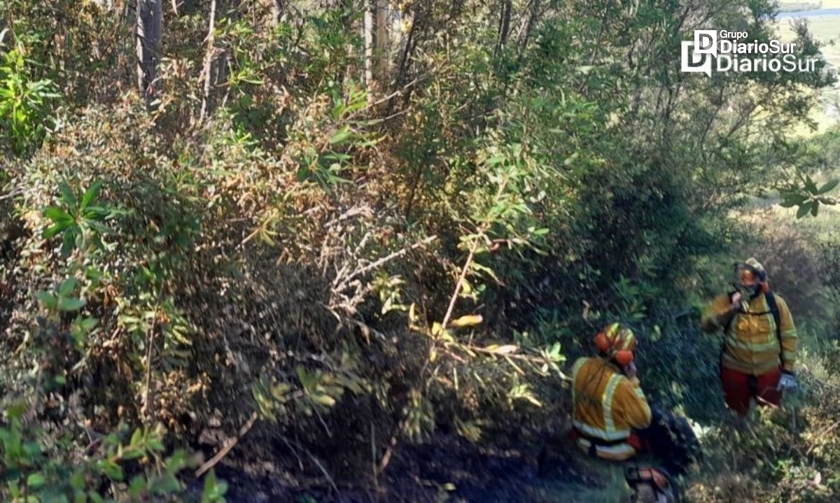 Bomberos combaten incendio forestal en sector costero de Valdivia