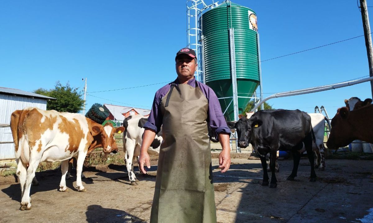 El orgullo de Gregorio Apablaza: inspiración para otros pequeños productores