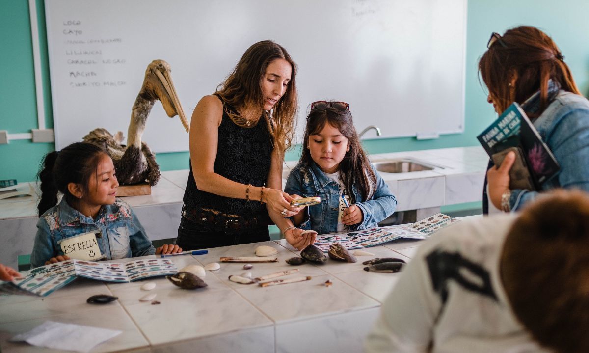 Oceanósfera es la primera organización chilena finalista de los Ocean Awards 