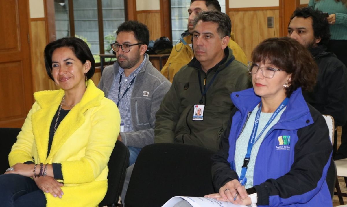 Río Bueno avanza en la instalación de nuevos semáforos