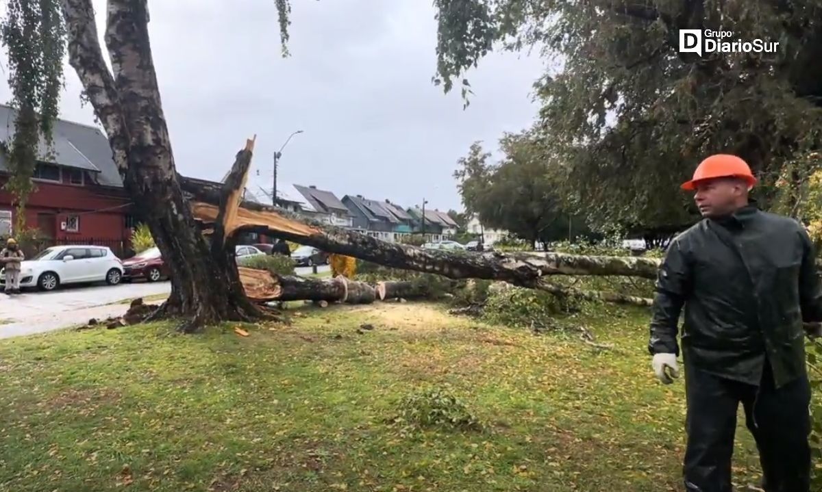 Personal municipal se despliega ante el sistema frontal en Valdivia