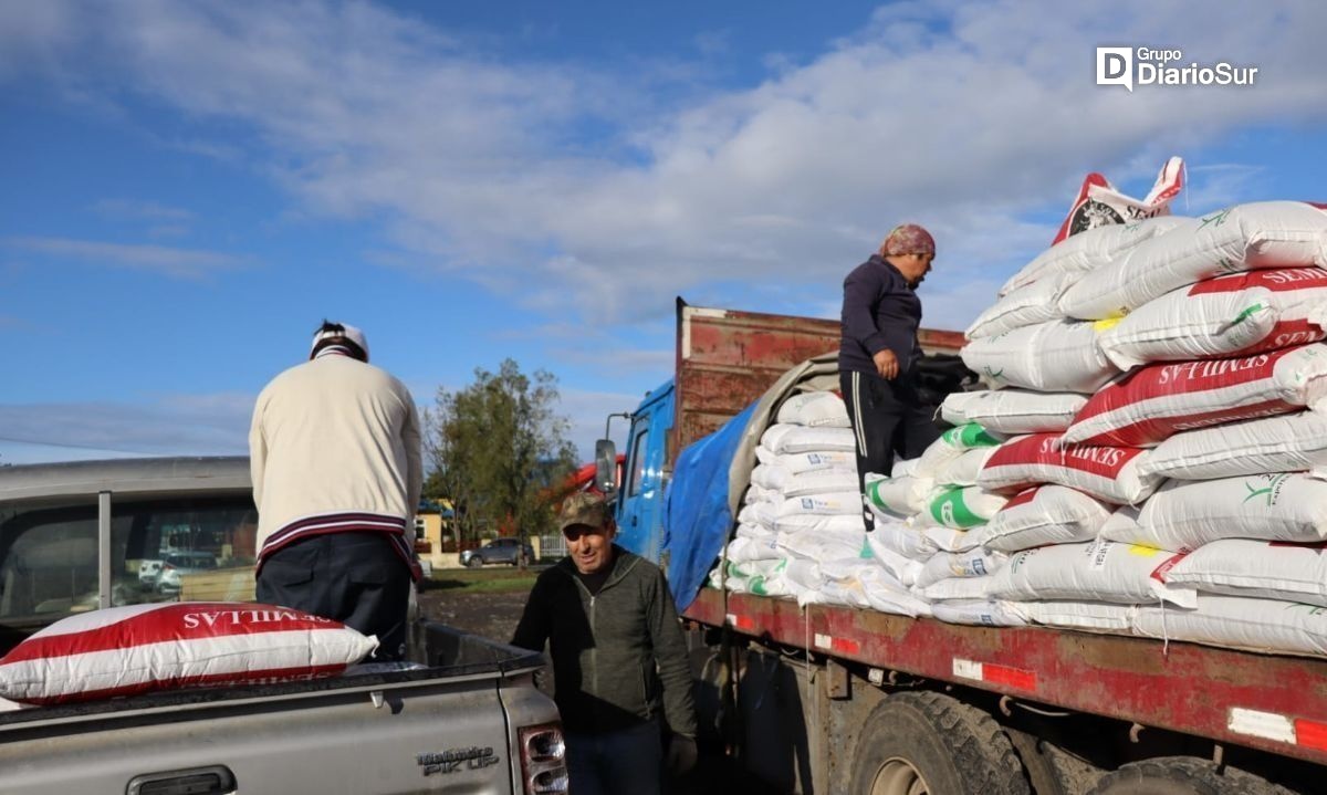 Familias campesinas de Río Bueno recibieron insumos para praderas de invierno