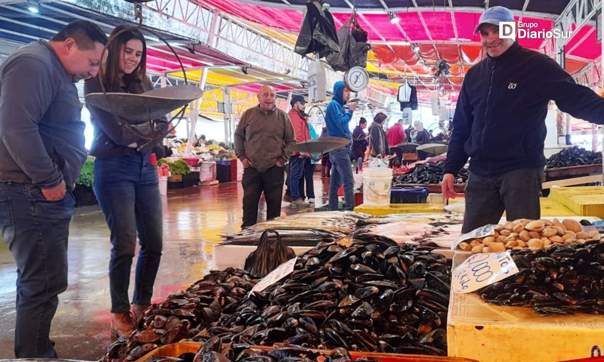 Feria Fluvial de Valdivia permanecerá cerrada por trabajos